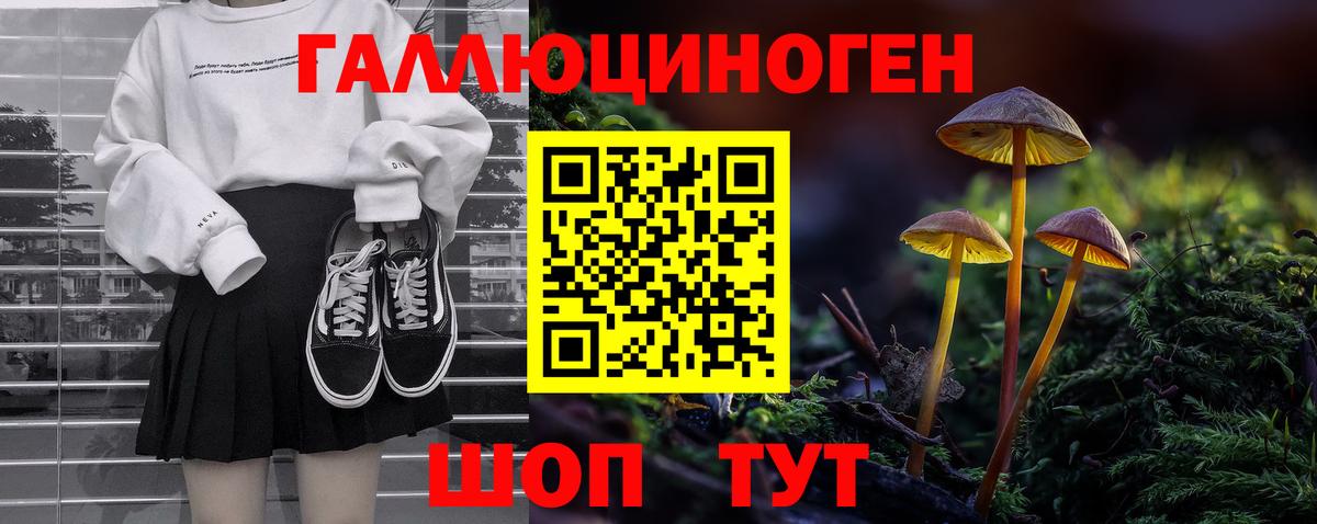 Галлюциногенные грибы Psilocybe  Вход с VPN  даркнет сайт  Сегежа 